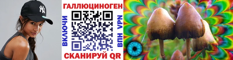 Галлюциногенные грибы MAGIC MUSHROOMS  Купить где  Туапсе 